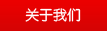 圖書(shū)防盜儀,防磁鐵防盜儀系列產(chǎn)品展示